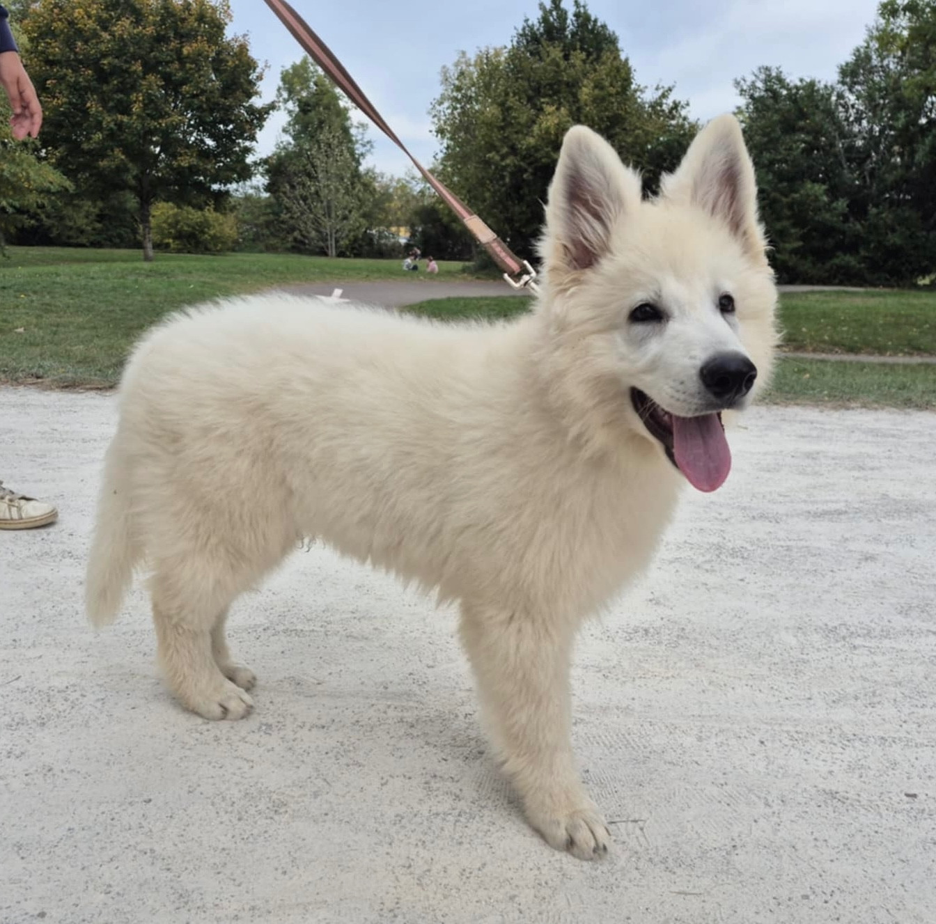 ALL YOU NEED IS LOVE Des Gardiens Du Valhalla