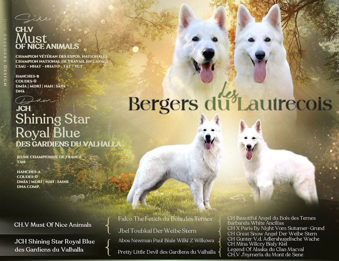 ✨Naissances à venir✨